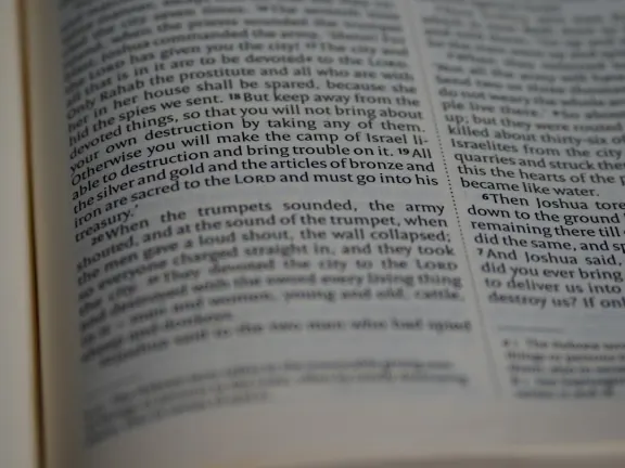 הייג'גו קזינו תמיכה